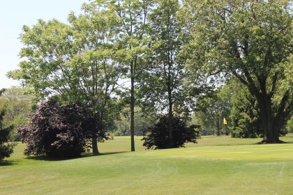 Oxley Beach Golf Course