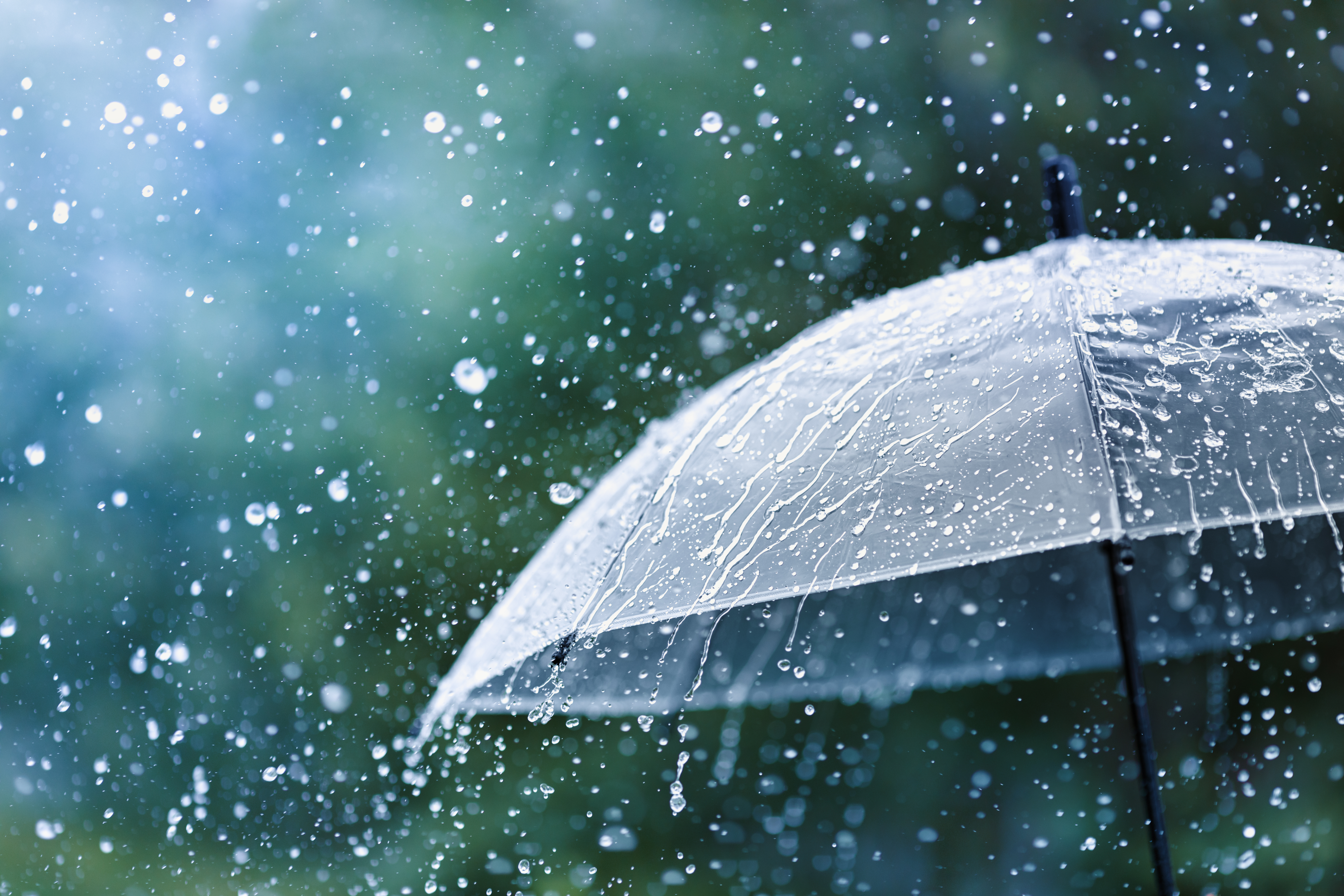Umbrella with rain falling